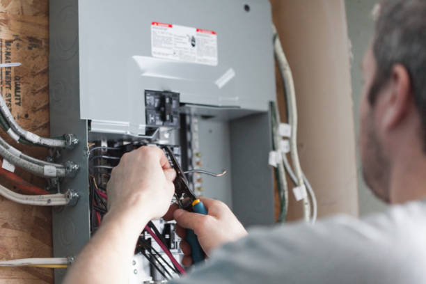 Best Electrical Panel Upgrades  in Agler Estates, FL